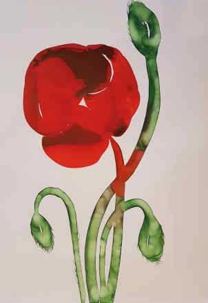 ArtChart | Oriental Poppy by Ahoo Hamedi