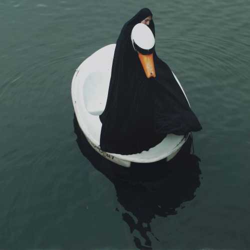ArtChart | The Swanrider no. 3 by Parastou Forouhar