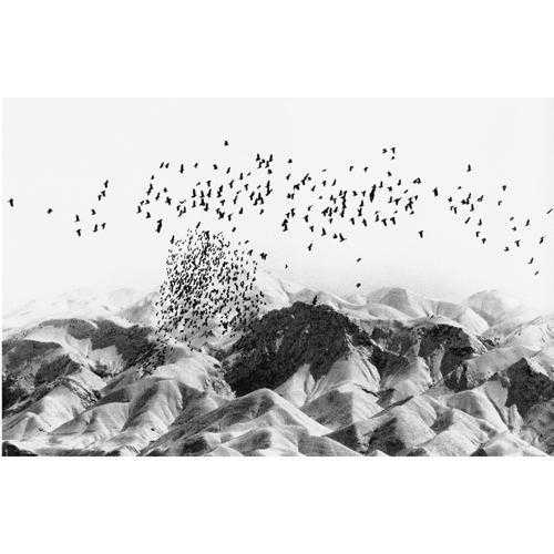 ArtChart | SNOW WHITE 5 by Abbas Kiarostami