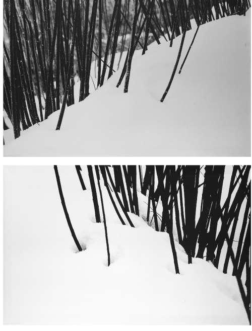 ArtChart | Snow, nr 50 - 51 by Abbas Kiarostami