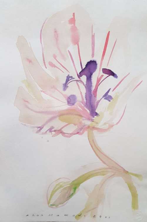 ArtChart | Flower by Ahoo Hamedi