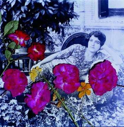 آرتچارت | گلها از مجموعه تصویر خیال از بهمن جلالی