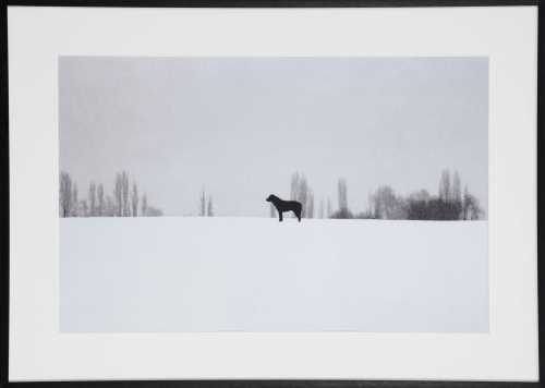 ArtChart | Untitled by Abbas Kiarostami