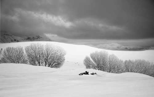 آرت چارت | برف شماره‌ی 9 از عباس کیارستمی