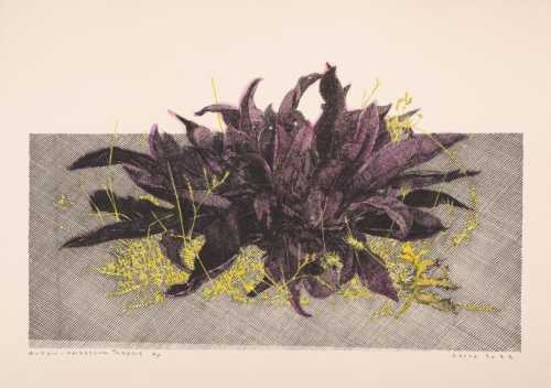 ArtChart | Mullein (purple) by Amirkasra Golrang