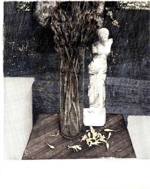 ArtChart | Vase & Venus de milo by Amirkasra Golrang