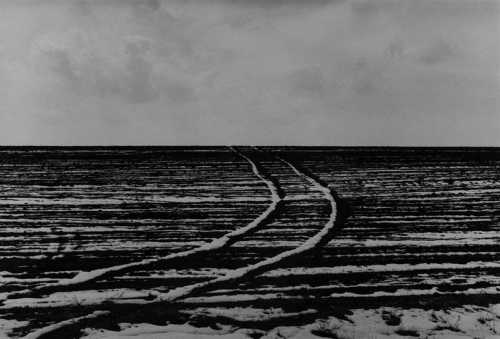 ArtChart | Untitled, from the series "Road" by Abbas Kiarostami