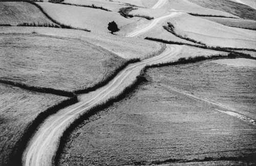 ArtChart | Roads by Abbas Kiarostami