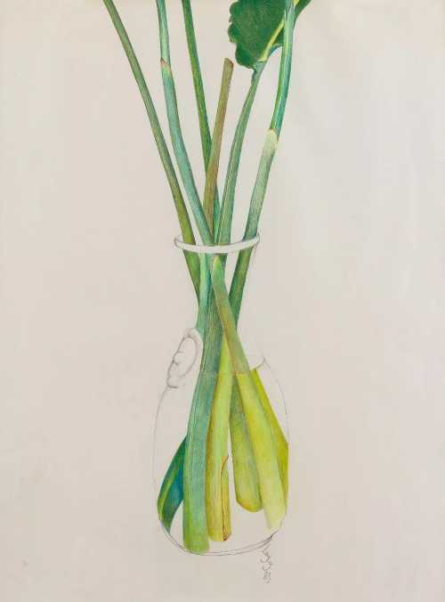 آرتچارت | گیاهان سبز در یک گلدان از لیلی متین دفتری