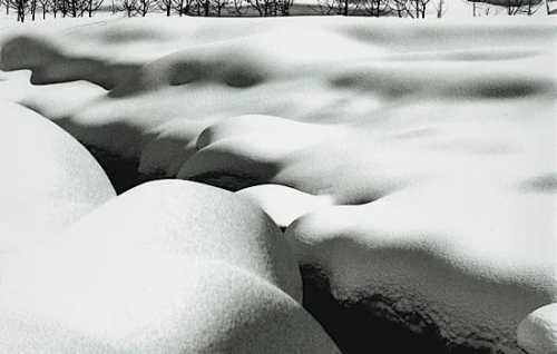 ArtChart | LA NEIGE BLANCHE by Abbas Kiarostami