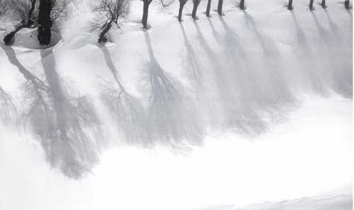 ArtChart | White Snow by Abbas Kiarostami
