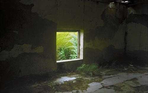 ArtChart | Window face to life by Abbas Kiarostami