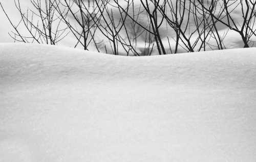آرتچارت | برف  شماره‌ی 33 از عباس کیارستمی
