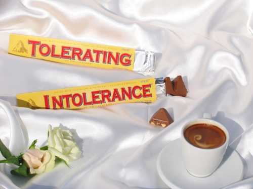 ArtChart | Tolerating Intolerance by Shirin Aliabadi And Farhad Moshiri