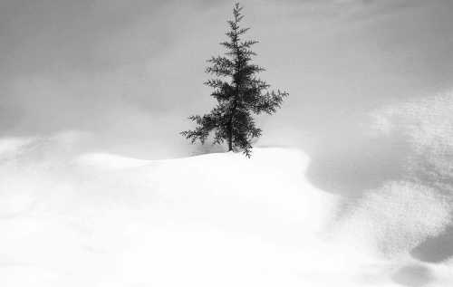 آرت چارت | برف شماره‌ی 34 از عباس کیارستمی