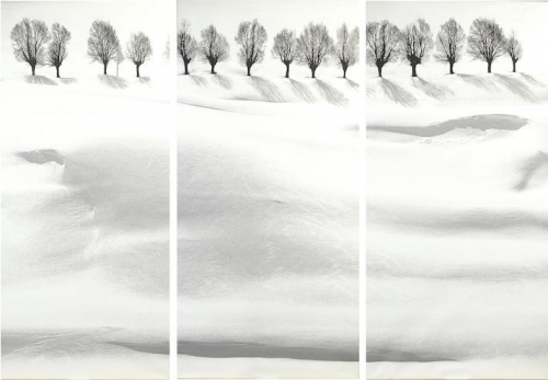 ArtChart | Untitled #6, from the 'Snow White' series by Abbas Kiarostami