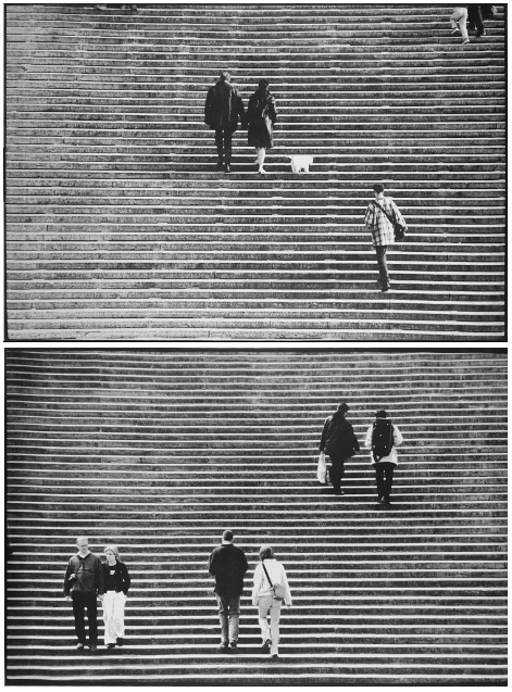 ArtChart | Stairs (1) & (2) by Abbas Kiarostami