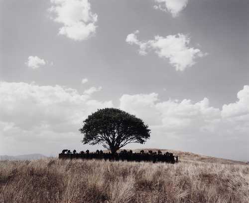 ArtChart | OHNE TITEL (TOOBA) by Shirin Neshat