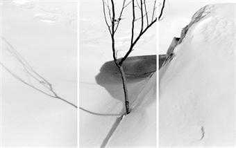 ArtChart | Snow, (3) by Abbas Kiarostami