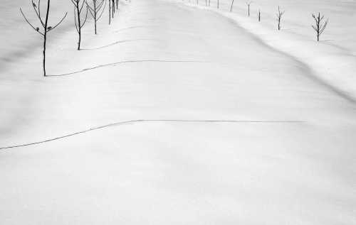 آرت چارت | برف شماره‌ی 35 از عباس کیارستمی