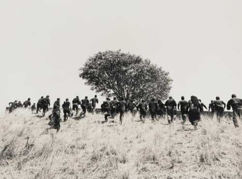 ArtChart | TOOBA SERIES by Shirin Neshat