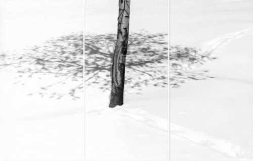 ArtChart | Snow by Abbas Kiarostami
