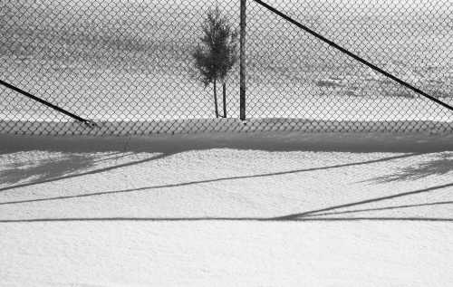 آرتچارت | برف شماره‌ی 11 از عباس کیارستمی