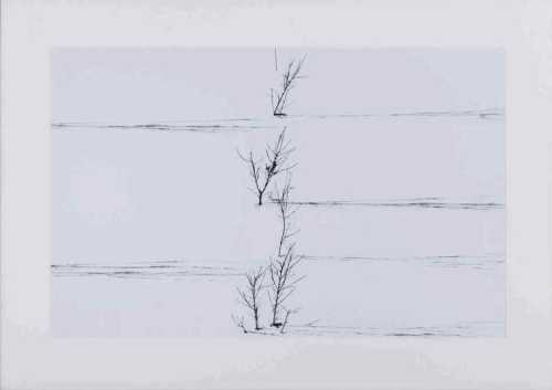 ArtChart | Untitled (From The Snow White Series) by Abbas Kiarostami