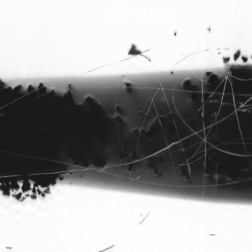 ArtChart | WORLD MUSIC #06 (The Sound Of A Dark Web) by Anahita Razmi
