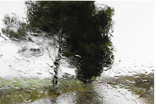 ArtChart | Untitled (rain #2) by Abbas Kiarostami