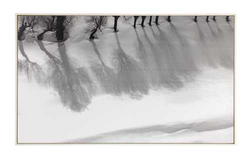 آرت چارت | برف سفید از عباس کیارستمی